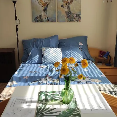 Apartmán Fenyves-Lak Szalkszentmárton Exteriér fotografie